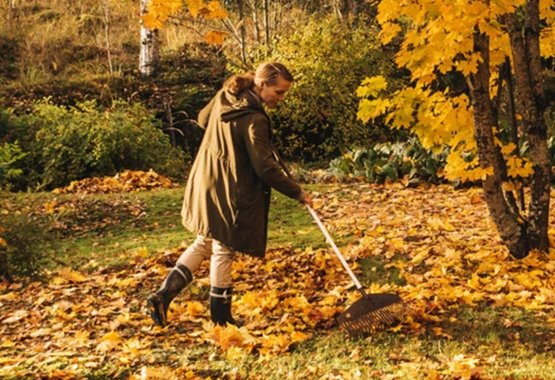 Ontdek hoe leuk tuinieren in de herfst is